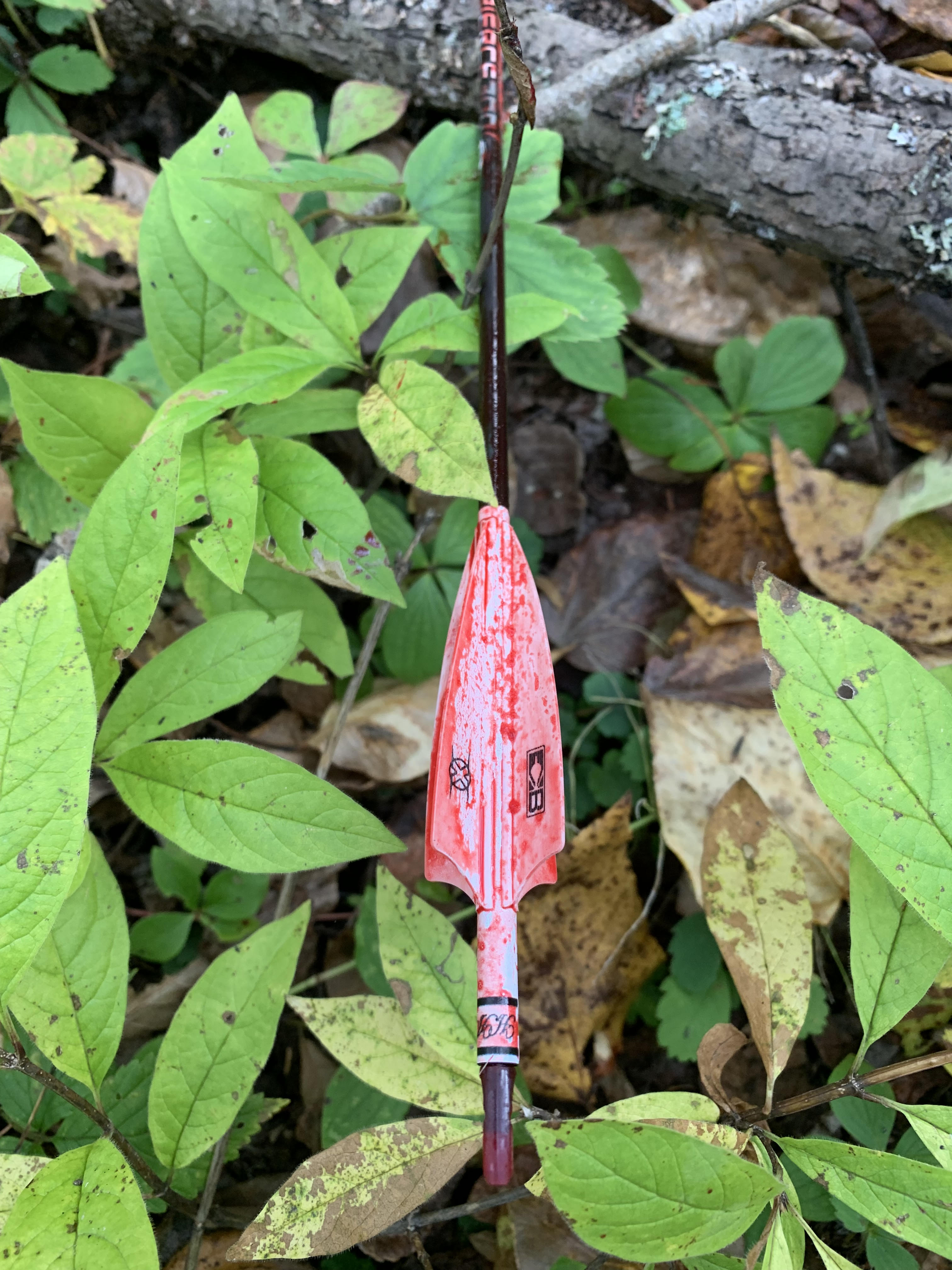 How To Maximize Arrow Tooth of the Arrow Tooth of the