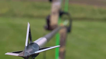 Tips for early bow season