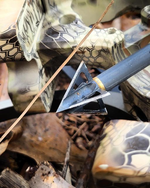 6 Reasons Your Broadheads Aren’t Flying With Your Field Points Tooth