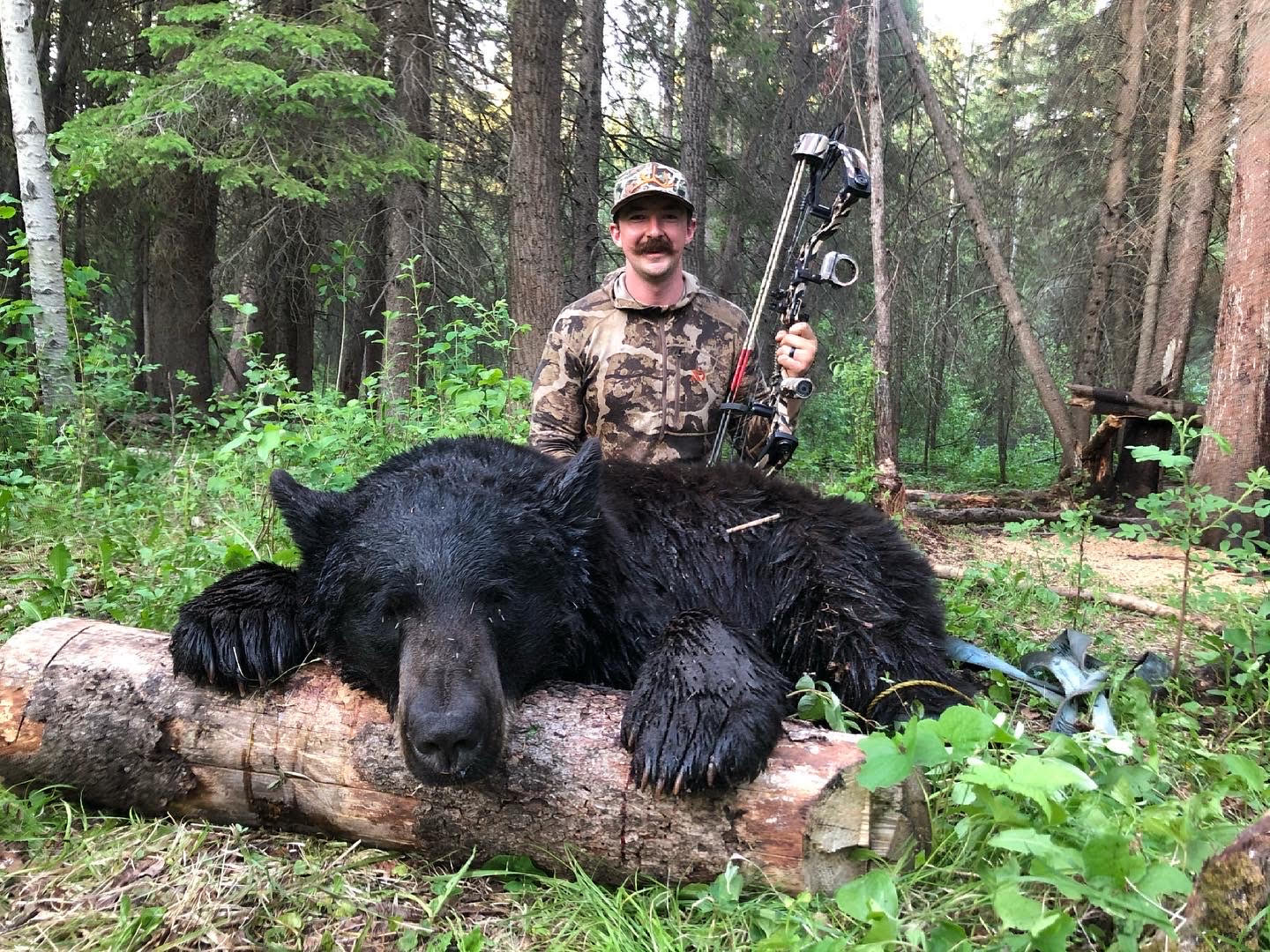 What Broadhead Is Best For Bear Hunting? We Have Found The Answer