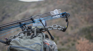 buying a compound bow